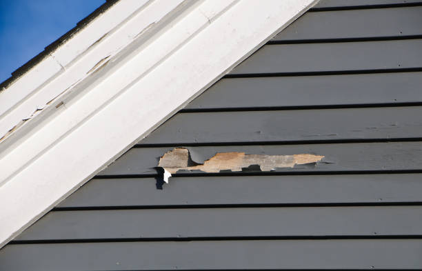 Best Construction Debris Removal  in North Lakeville, MA